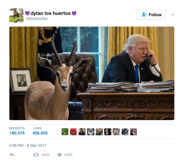 Illustration for article titled Internet FTW: Someone Photoshopped A Gazelle Next To Donald Trump, And It’s Going Viral Under The Assumption That It Takes Him Down In Some Way